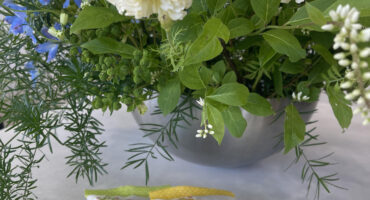 ６月　季節限定お茶菓子🌼