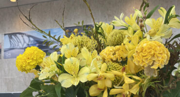 ショールーム お花💐💛